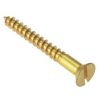 brass wood screw