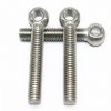 stainless special eye screw