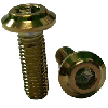 ss 304 g16 gilding hexagon socket cap screw gold